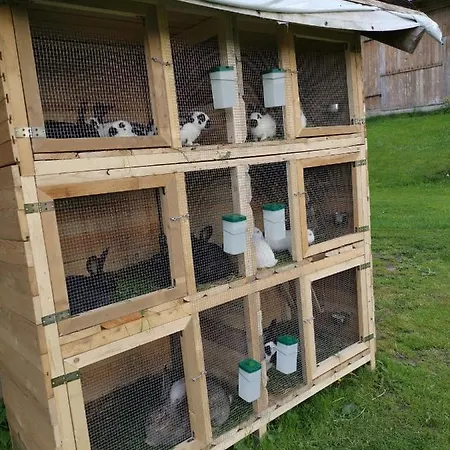 Goscinne Pod Limbami Ubytování v soukromí