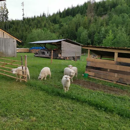 Goscinne Pod Limbami Ciche Małe