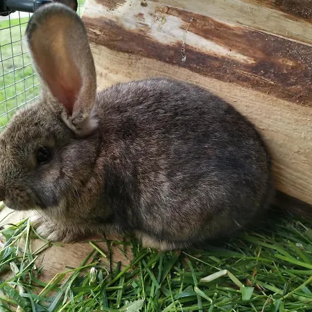 Ubytování v soukromí Goscinne Pod Limbami